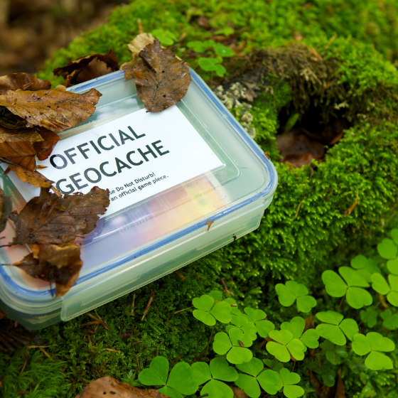 geocache box in forest setting